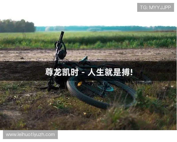 尊龙凯时人生就是追求极致体验与不断突破自我的完美结合